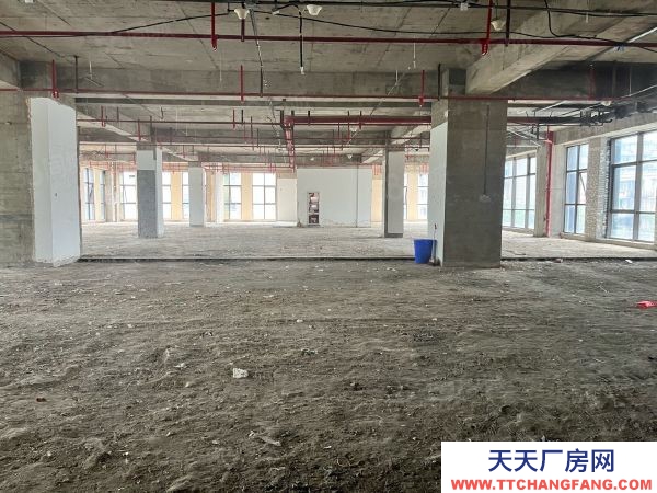 南京市秦淮區 大明路 卡子門 南站產業園區 層高6米 辦公倉儲面積可分割