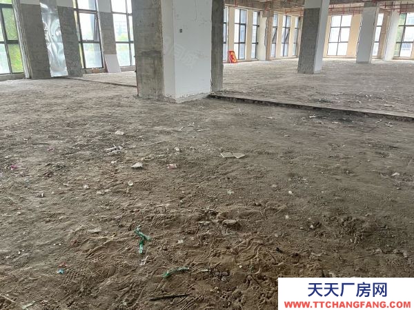 南京市秦淮區(qū) 大明路 卡子門 南站產(chǎn)業(yè)園區(qū) 層高6米 辦公倉(cāng)儲(chǔ)面積可分割