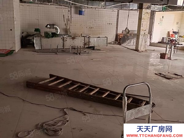 南京市秦淮區(qū)大行宮純一樓層高6.5米大車可以進出行業(yè)不限隨時看房