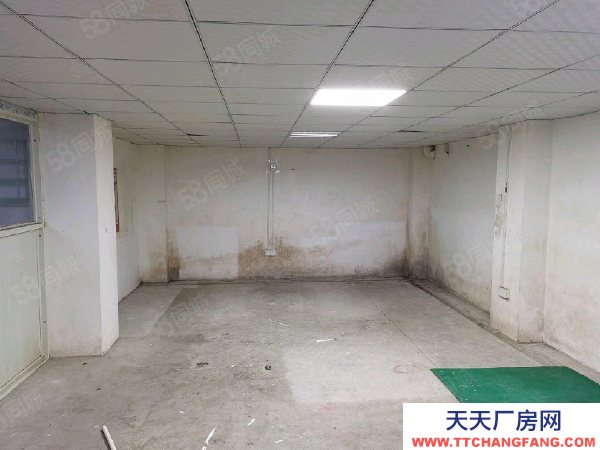 南京市秦淮區夫子廟全地下室商業性質兩證齊