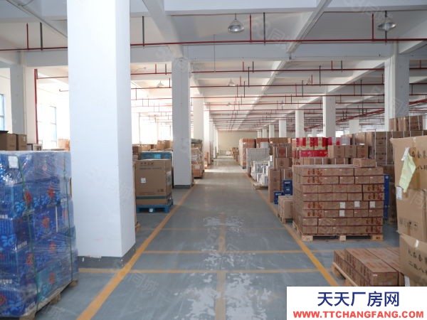 南京市秦淮區秣陵地鐵口 丙二類月臺倉 可托管 倉儲運輸裝卸一站式服務