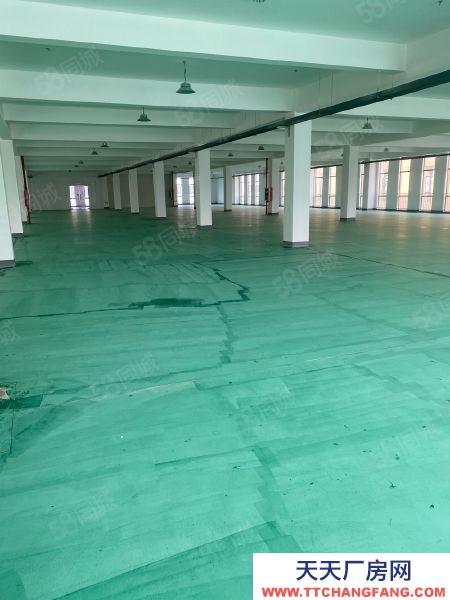 南京市秦淮區7000平倉庫岀租,50至1000平的需求,可托管