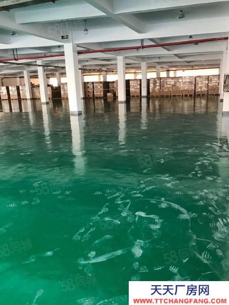 南京市秦淮區7000平倉庫岀租,50至1000平的需求,可托管