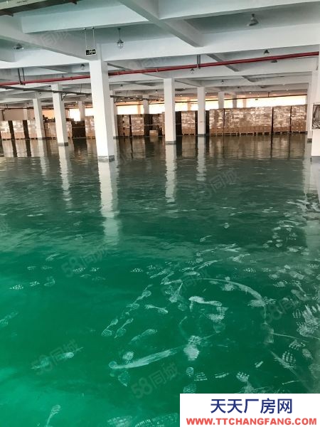 南京市秦淮區六合浦口出租，可分租，現房，生產辦公