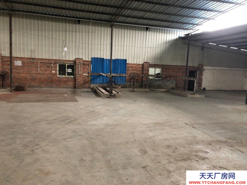 (出租) 重慶永川可租可售 標準化廠房 所有配套設施齊全