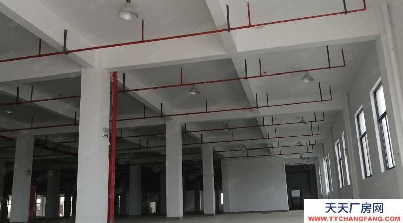 杭州上城(出售) 出售下沙工業區36畝60000多方全新廠房。.