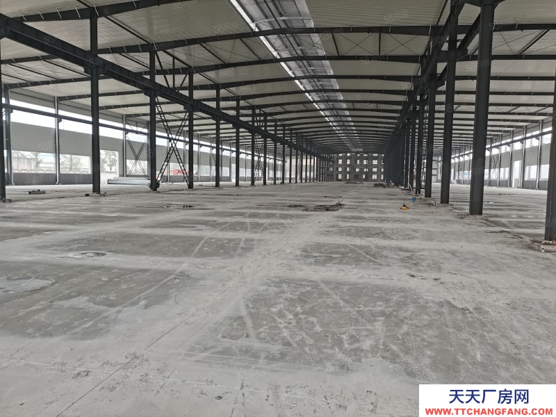 (出租) 重慶永川鳳凰湖工業(yè)園18000平標(biāo)準(zhǔn)鋼結(jié)構(gòu)廠房出租