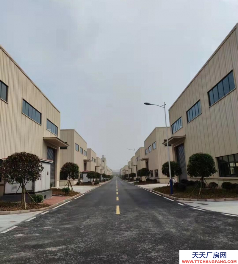 (出售)重慶永川三教 高速路口 單層12米高 鋼架結(jié)構(gòu) 廠房行業(yè)不限