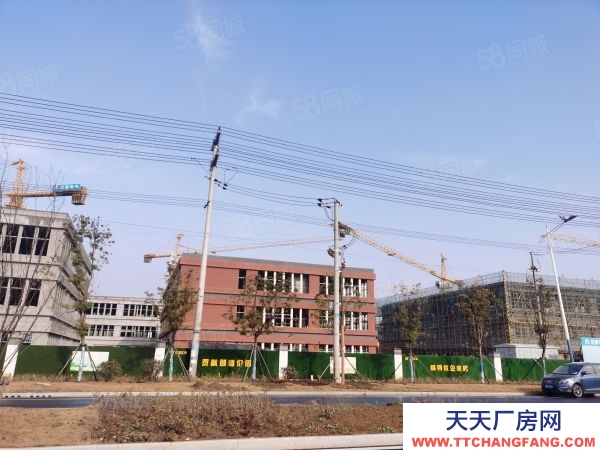 南京市六合區現房出租 急租 給錢就租