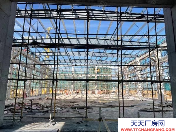 南京市六合區現房出租 急租 給錢就租