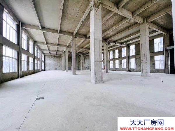 南京市六合區(qū)急急 天長市開發(fā)區(qū) 坤安智造 5萬平直售