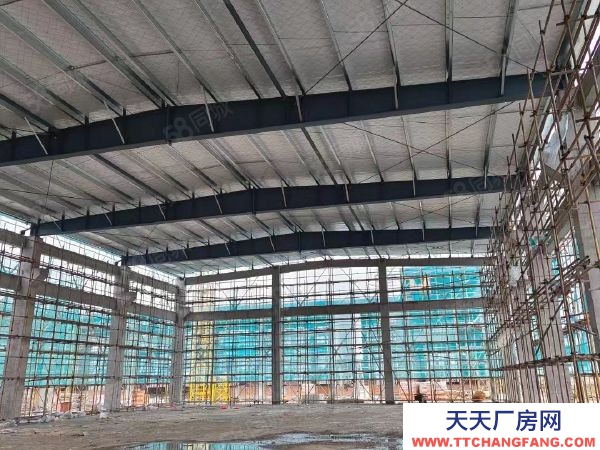 南京市六合區(qū)急急 天長市開發(fā)區(qū) 坤安智造 5萬平直售