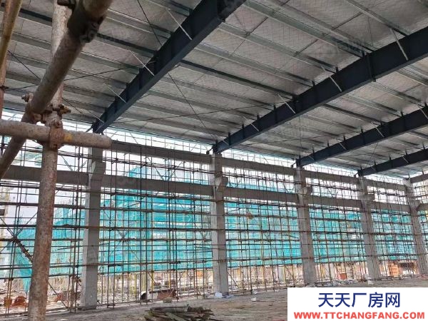 南京市六合區(qū)急急 天長市開發(fā)區(qū) 坤安智造 5萬平直售