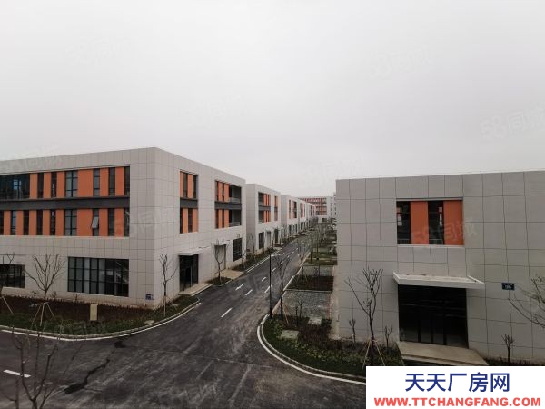 南京市 雨花核心區!高速口首付2成 單層多層獨棟!均價3000元起