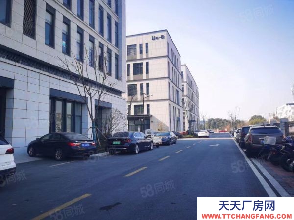 南京市雨花臺經濟開發區,青年路,花園式獨棟和分層產業載體,制造研發