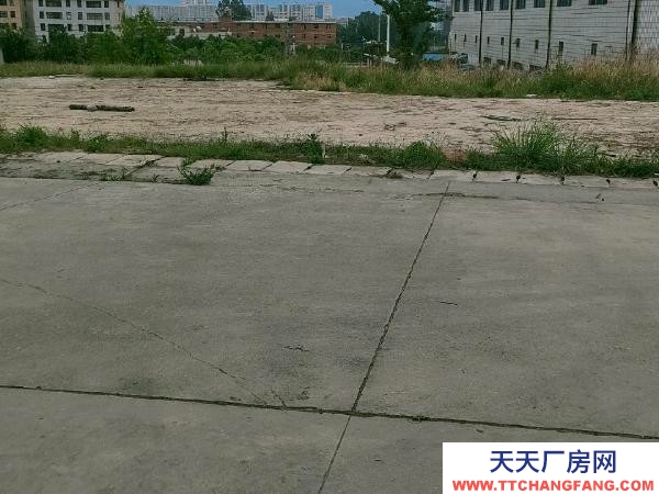 (出租) 小坡水果市場對面太和街道辦事處背后