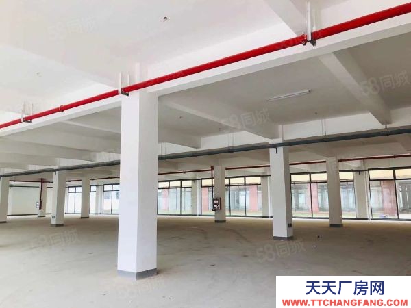 南京市雨花臺區(qū)秣周東路地鐵站未來科技城0.8元可分租標準全新獨棟廠房