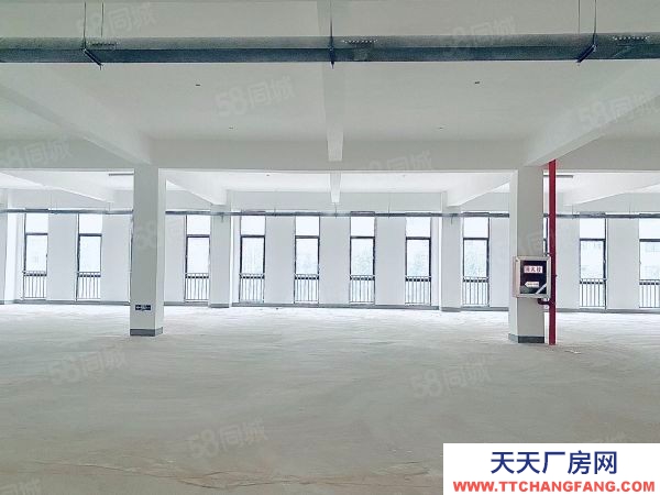 南京市雨花臺區秣周東路地鐵站未來科技城0.8元可分租標準全新獨棟廠房