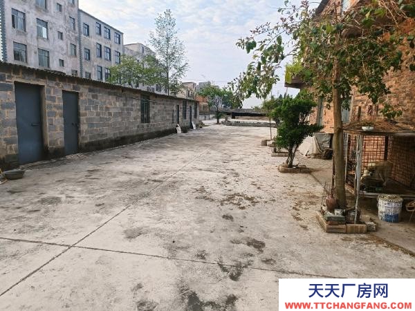 (出租) 本廠房適合加工、倉庫、停車位等多型運用，也合適作為農家樂