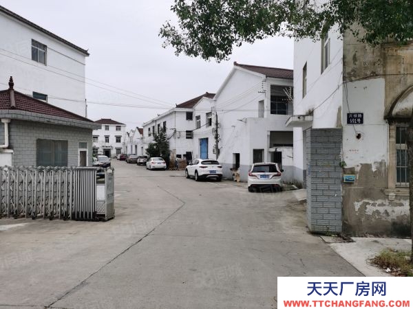 南京市雨花臺區 123省道邊(老寧溧公路)廠房出租