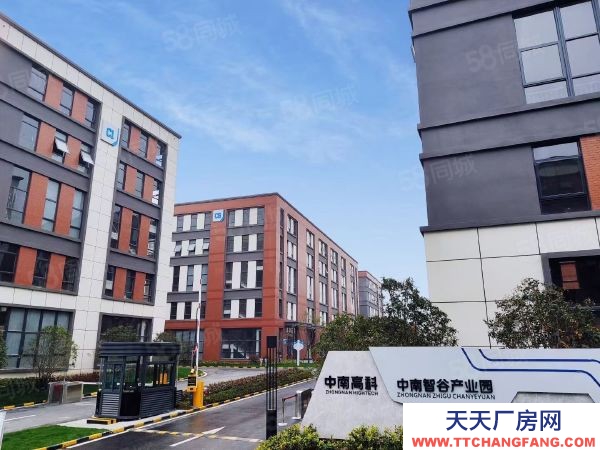 南京市雨花臺區成熟園區 六合1200平廠房 生產倉儲辦公 有免租期