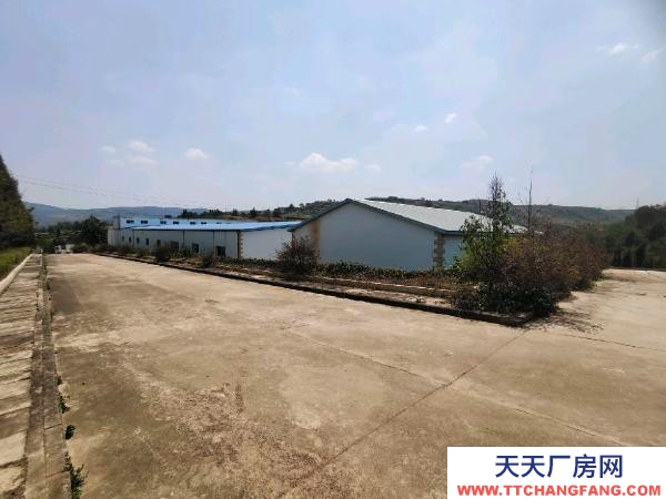 (出租) 西片區標準廠房倉庫出租，出讓