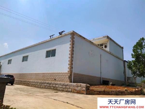 (出租) 西片區標準廠房倉庫出租，出讓