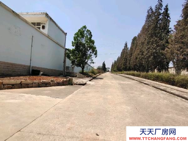 (出租) 西片區標準廠房倉庫出租，出讓