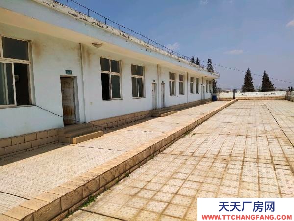 (出租) 西片區標準廠房倉庫出租，出讓