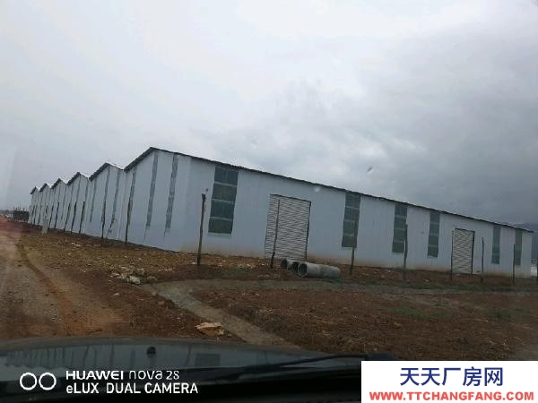 (出租) 曲靖市麒麟區四圩社區永豐圩，占地85畝，