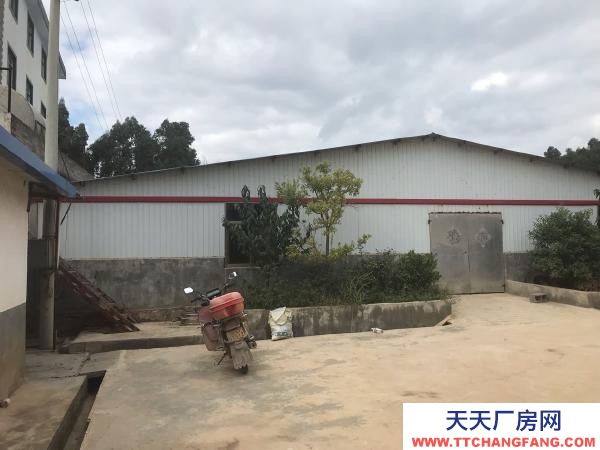 (出租) 以前的養殖場，水電路都比較方便