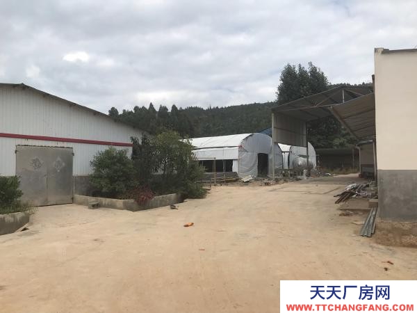 (出租) 以前的養殖場，水電路都比較方便