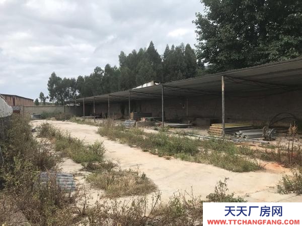 (出租) 以前的養殖場，水電路都比較方便