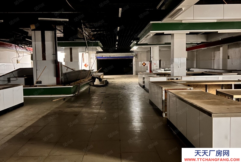 青島黃島區珠山街道人民路4000平廠庫房出租，無中介