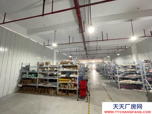 南京市雨花臺區鐵心橋330平，精裝修倉庫，超低價出租！