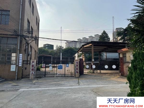 南京市雨花臺區單獨共三層樓，可整租也可分租，內有電貨梯