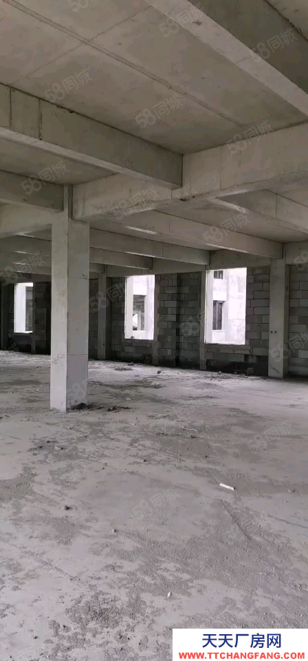 青島黃島底價出！開發(fā)區(qū)廠房！急售！！