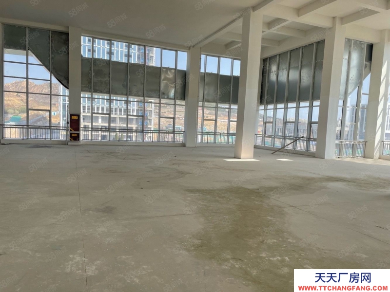 青島黃島3000平獨棟廠房 送露臺 低總價 首付低