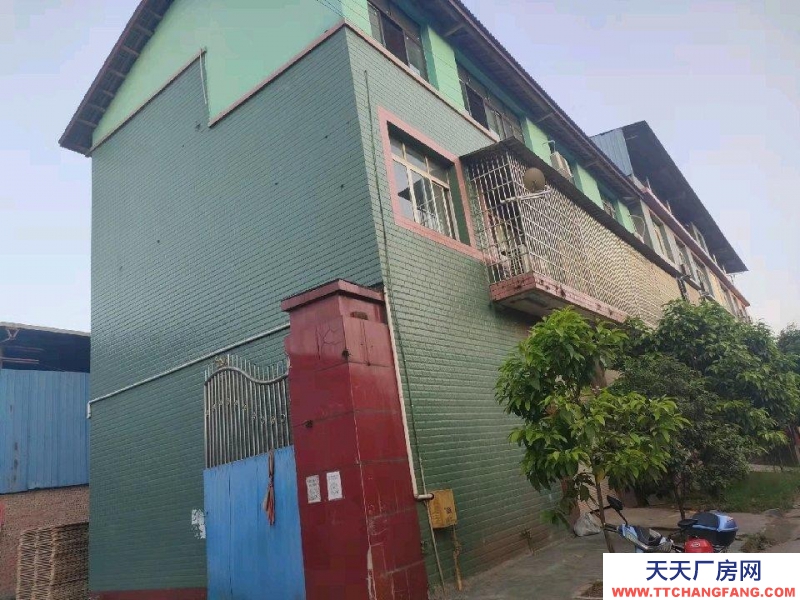 (出租) 重慶南川廠房便宜出租租金面議