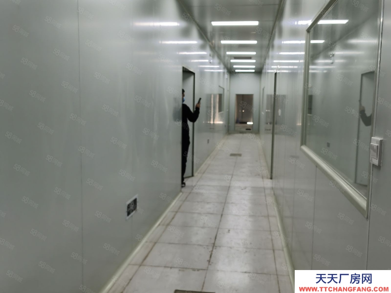 (出售) 低首付現房(租售)食品央廚醫療檢測生物研發!燃氣排污丙類消防