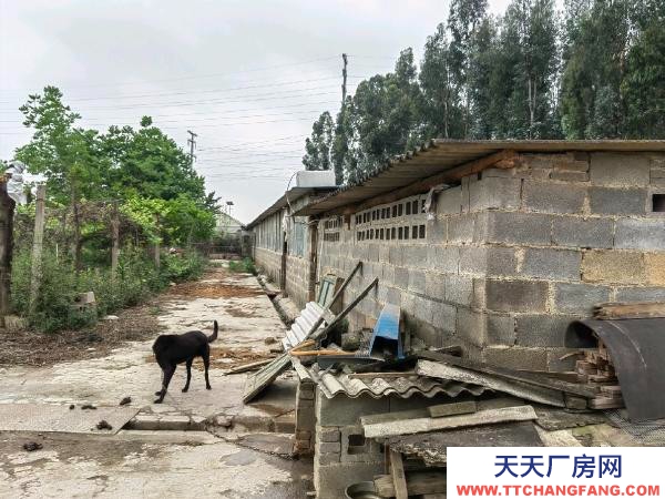 (出租) 大面積場(chǎng)地，干啥都可以