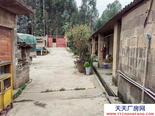 (出租) 大面積場(chǎng)地，干啥都可以