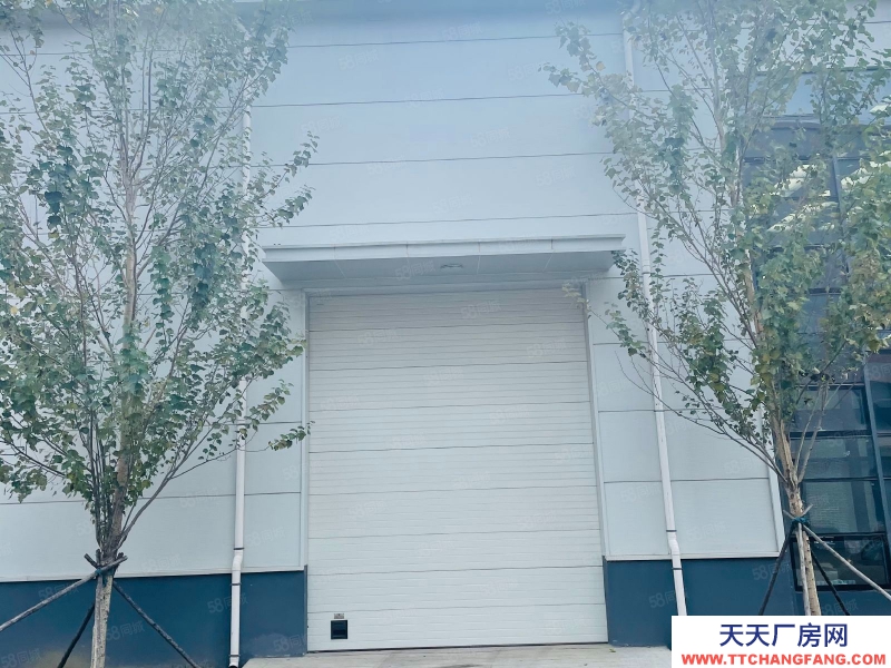 (出售) 自貿區 現房 1400平單層 高10米 可做低首付