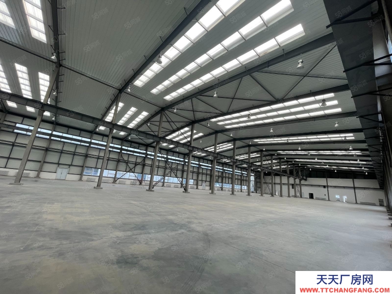 (出售) 自貿區 現房 1400平單層 高10米 可做低首付