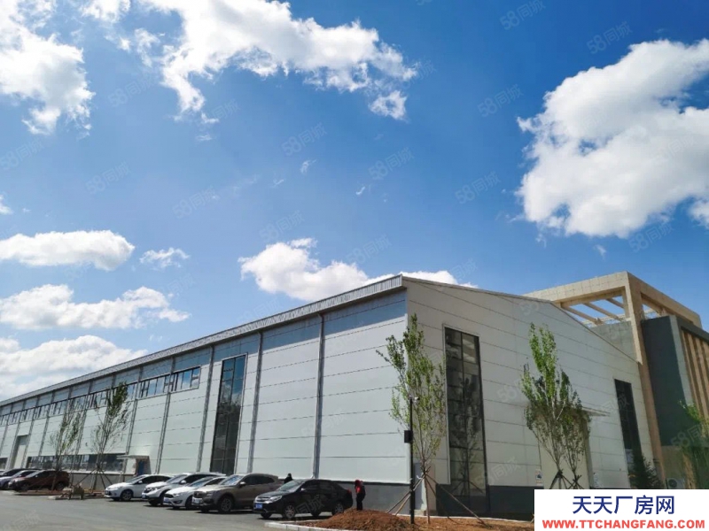 (出售) 自貿區 現房 1400平單層 高10米 可做低首付