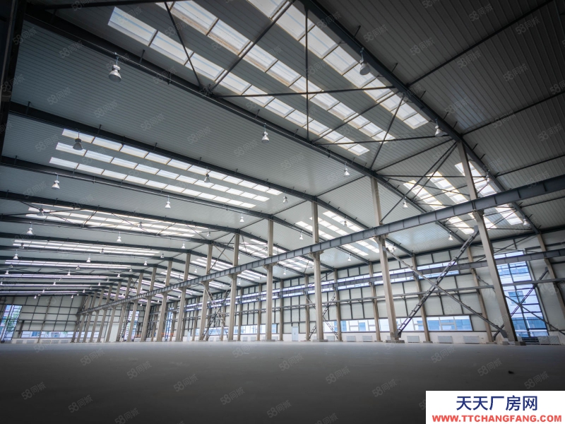 (出售) 自貿區 現房 1400平單層 高10米 可做低首付