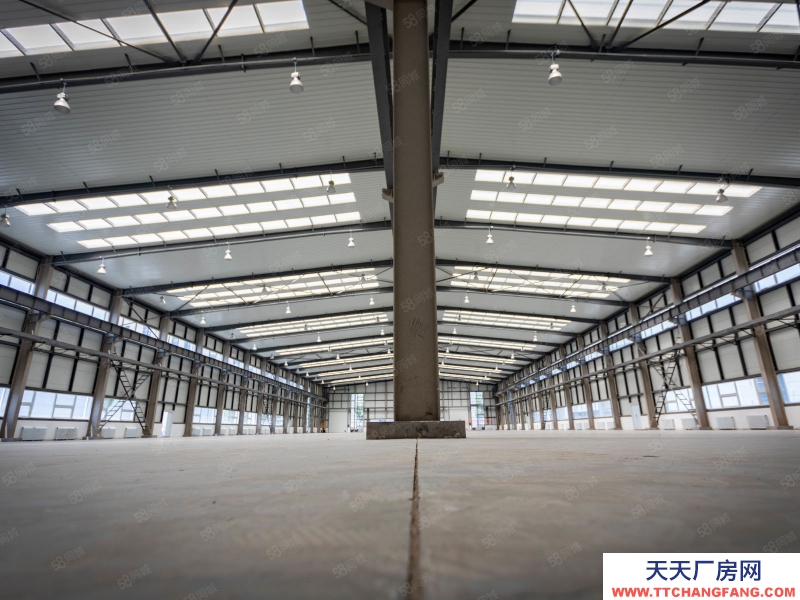 (出售) 自貿區 現房 1400平單層 高10米 可做低首付