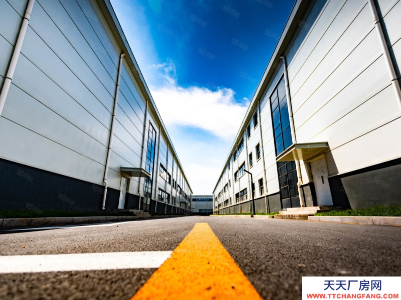 (出售) 自貿區 現房 1400平單層 高10米 可做低首付