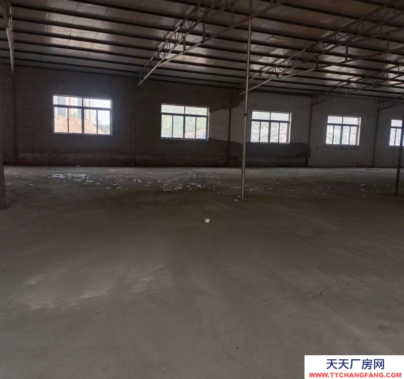 (出租) 整體對外出租，可分租。