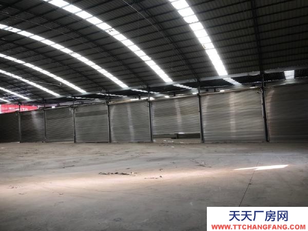 (出租) 寬28米，長50米，高6米